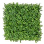 Jardín Vertical Cipres MZ188054A