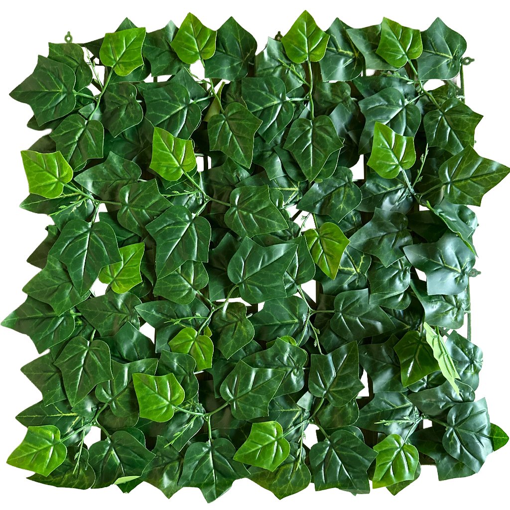 60JVMICAA000011-Jardin-Vertical-Aralia-Foto-Producto-1-1 Jardín Vertical Aralia MZ199011B - Imagen 1