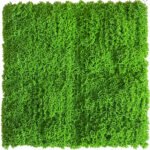 Jardín Vertical Musgo MZ188062A