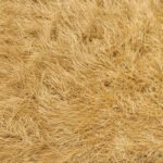 Paja Sintética en Rollo de 20 m2